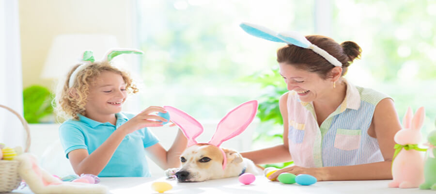 How to Host a Dog-Friendly Easter Egg Hunt